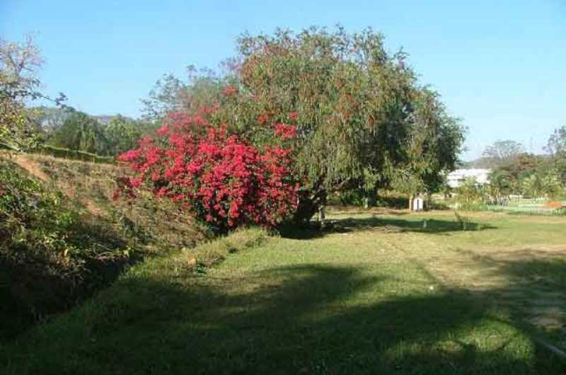 TTD Gardens- Tirupati